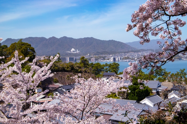 廿日市市